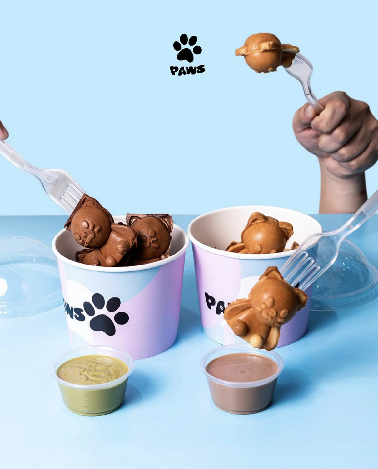 Paws cat cakes